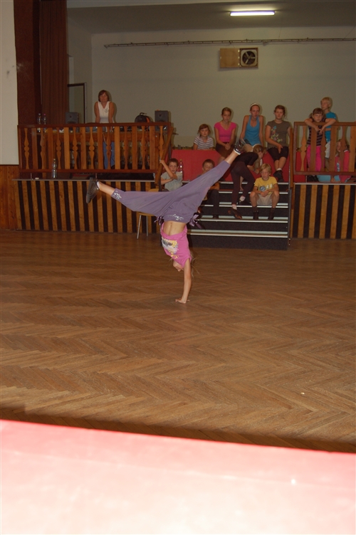 Obrázek v galerii